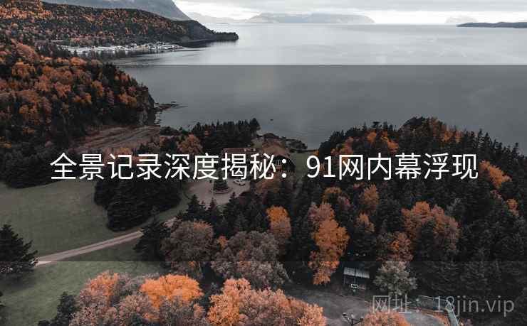 全景记录深度揭秘：91网内幕浮现
