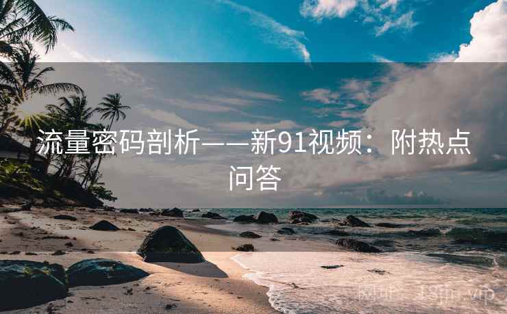 流量密码剖析——新91视频：附热点问答